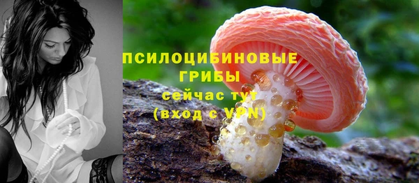 скорость Горно-Алтайск