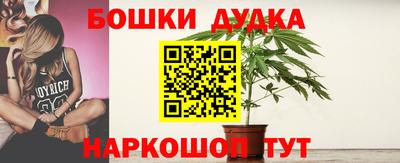PSILOCYBIN Апшеронск
