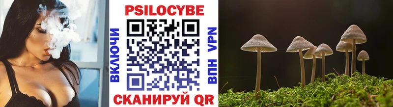 Псилоцибиновые грибы мицелий  Бийск 