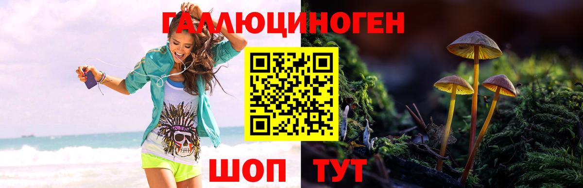 Бийск  Псилоцибиновые грибы MAGIC MUSHROOMS  как найти   Вход с VPN  Галлюциногенные грибы прущие грибы 